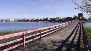Ponte rosa, de Alegra Catarina.